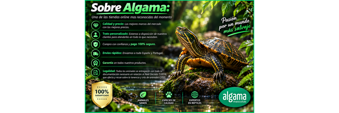 Sobre Algama